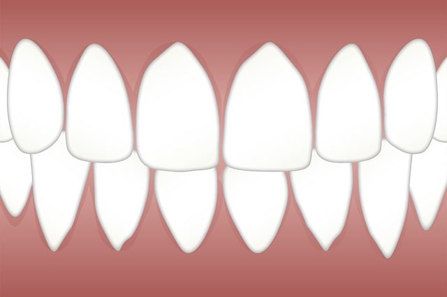 Revolutionize Your Practice: Patient-Centered Care for McAllen Dentists