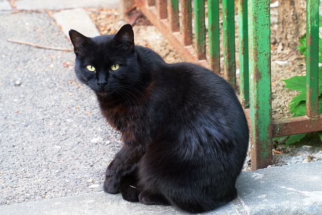 dentist on 10th street McAllen
