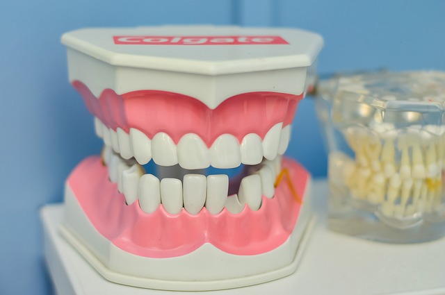 Dr. Cazares Brings Affordable Dental Care to McAllen, TX