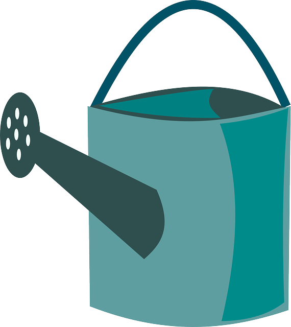 Can I get braces at a McAllen dentist office