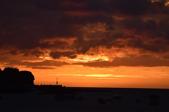 clinicas del dr. cazares McAllen