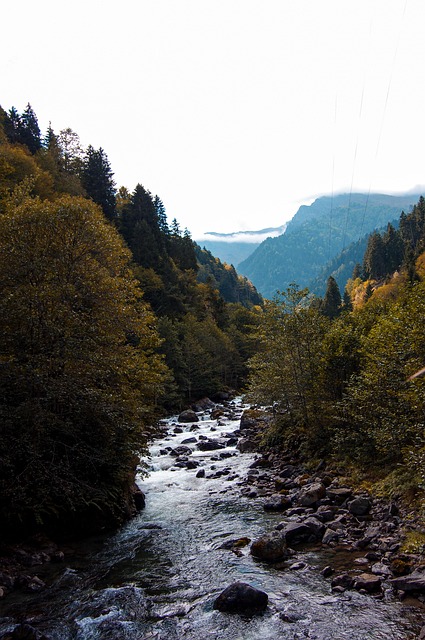 McAllen DDS: Transform Your Smile with Expert Care