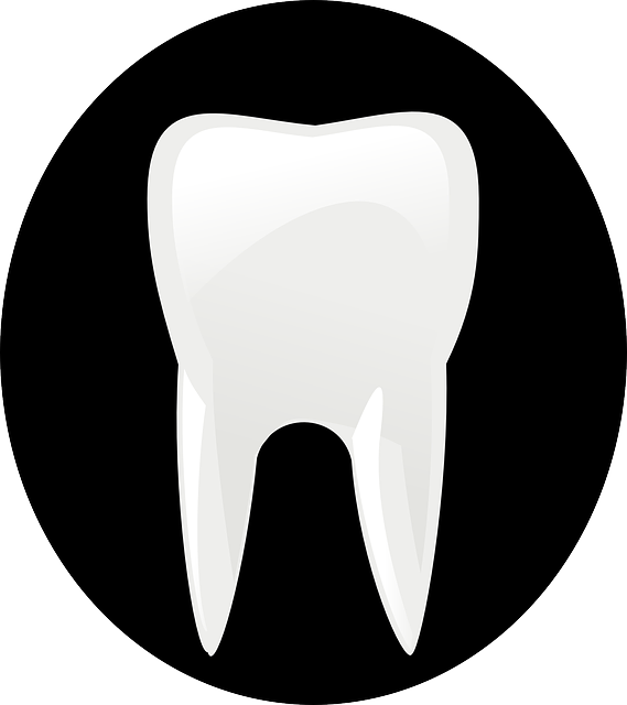 dental associates of mcallen