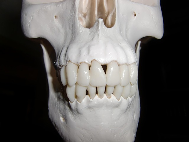dentist-640x480-21505293.jpeg