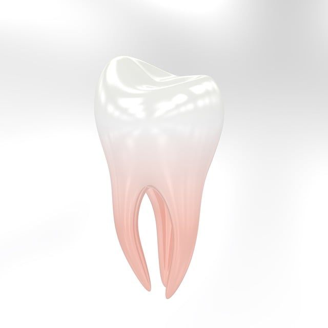 Mission TX Dentists: Advanced Tech Streamlines Dental Care