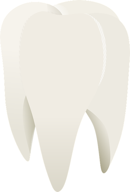 dentist-640x480-84997062.png