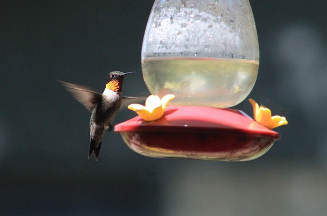 Dr. Cazares: Your McAllen Dentist for Emergency Care