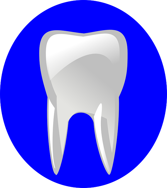 dentist in pharr tx