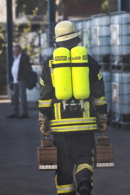 dentists in mission tx