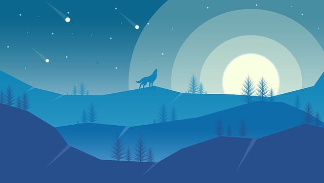 dr cazares mcallen 2