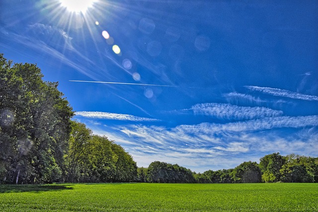 dr cazares mcallen 2