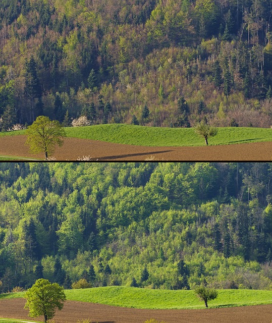 dr cazares mcallen 2