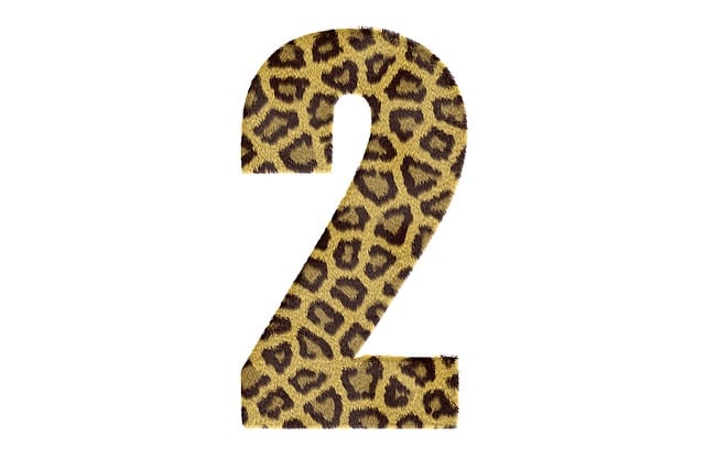 dr cazares mcallen 2