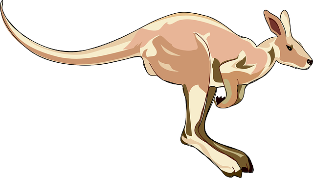 Dr. Joey Cazares McAllen