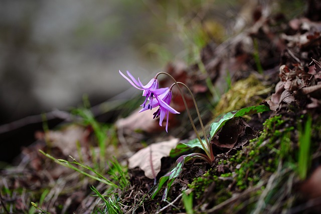 How do I choose the right dentist for my child in McAllen