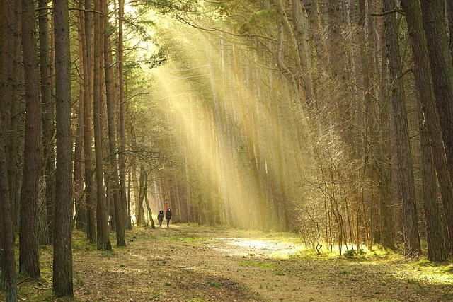 Find Your Family Dentist in McAllen: Office Hours & Contact Details