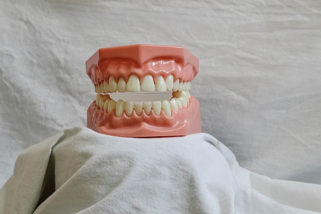 how-much-does-a-dental-cleaning-cost-in-640x480-12558125.jpeg