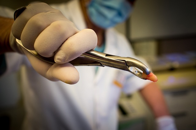 McAllen Dental Cleaning: Costs, Benefits & Easy Booking Guide