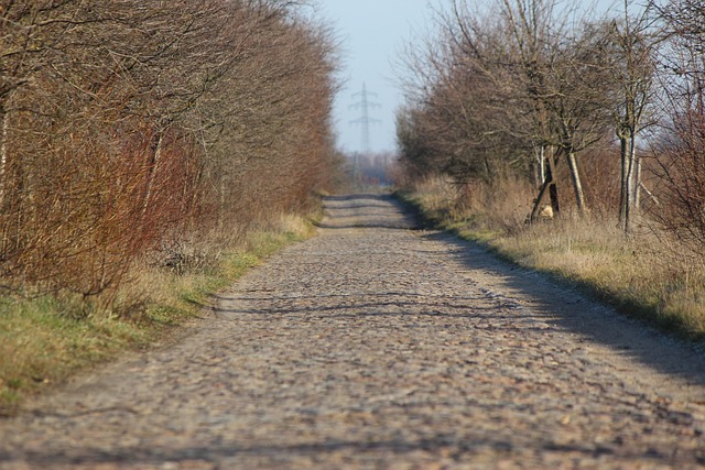 Connect with McAllen Dentists: Email Tips & Check-up Guidance