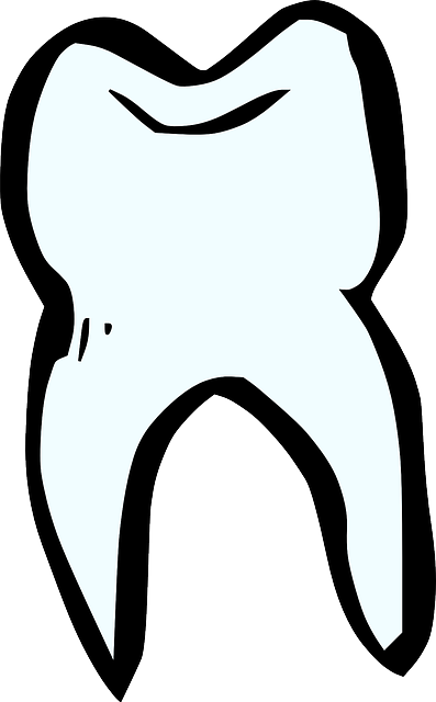 jl-dental-associates-640x480-5879757.png