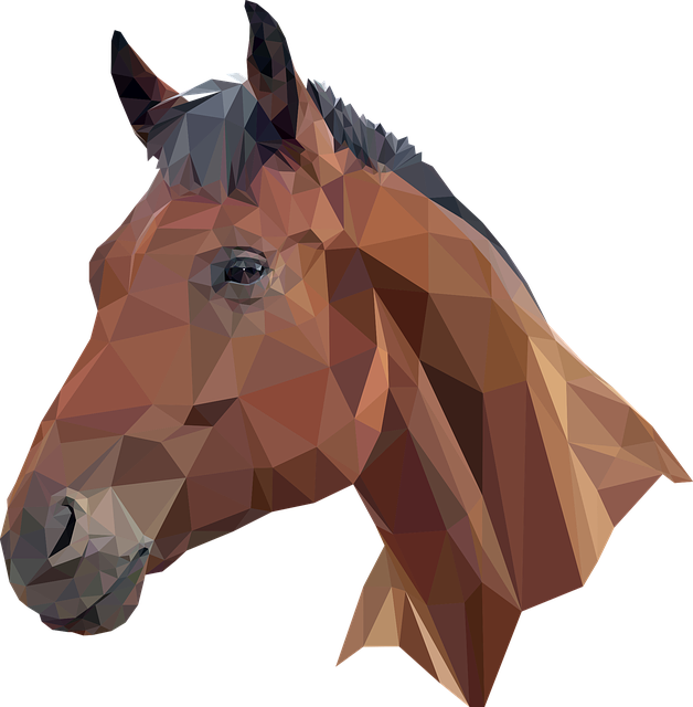 low cost dentist mcallen