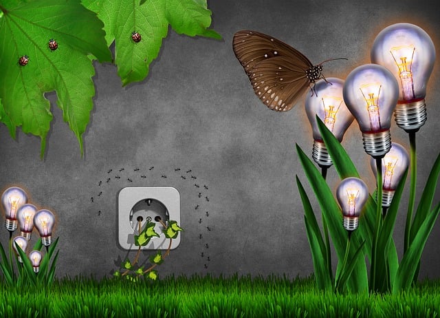 low cost dentist mcallen tx