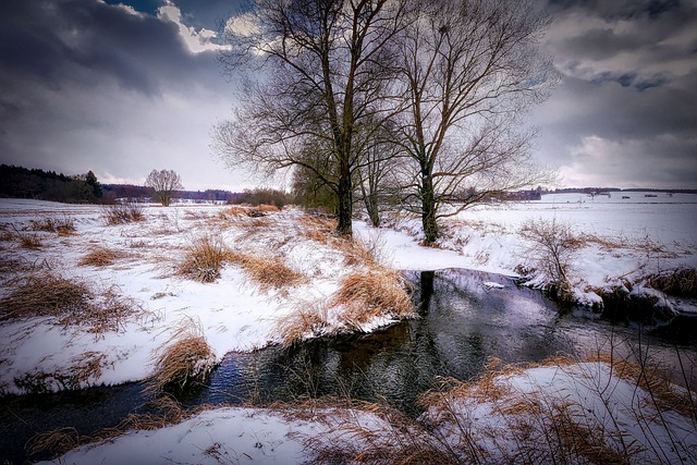 Multilingual Dental Care in McAllen: Breaking Barriers for Better Periodontal Health