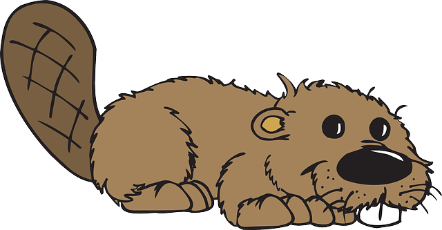 teeth whitening mcallen