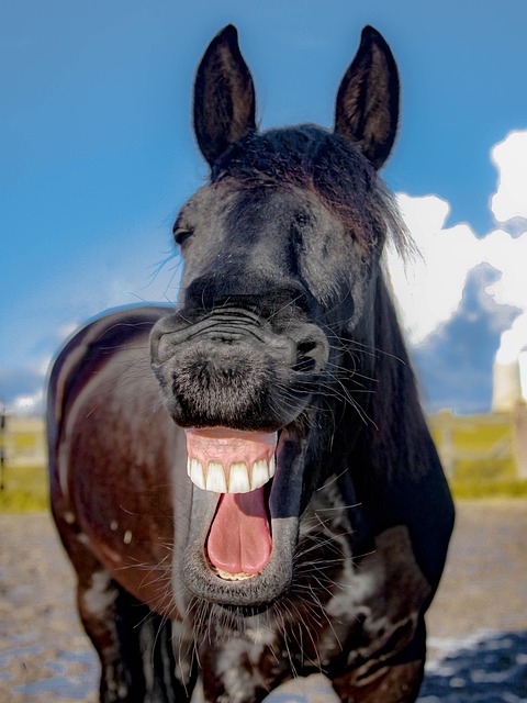 teeth-whitening-mcallen-640x480-44618868.jpeg