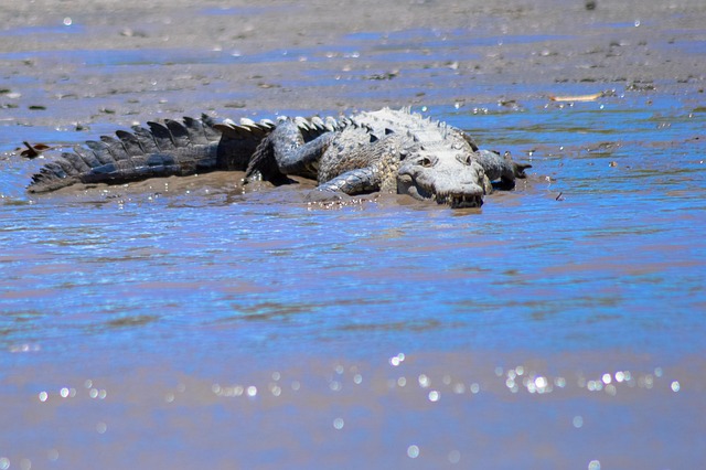 Transform Your Grin: McAllen’s Top Dentist Offers Effective Teeth Whitening