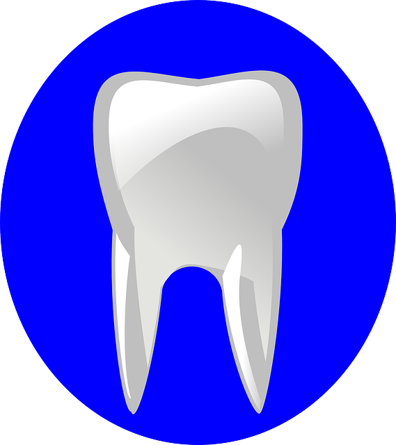 McAllen Dental Care: Understanding Tooth Extractions and Local Hub at 1632 N. 10th Street