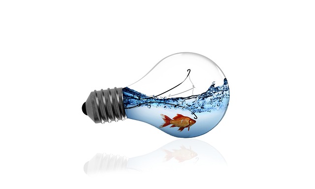 What services does a general dentist in McAllen offer