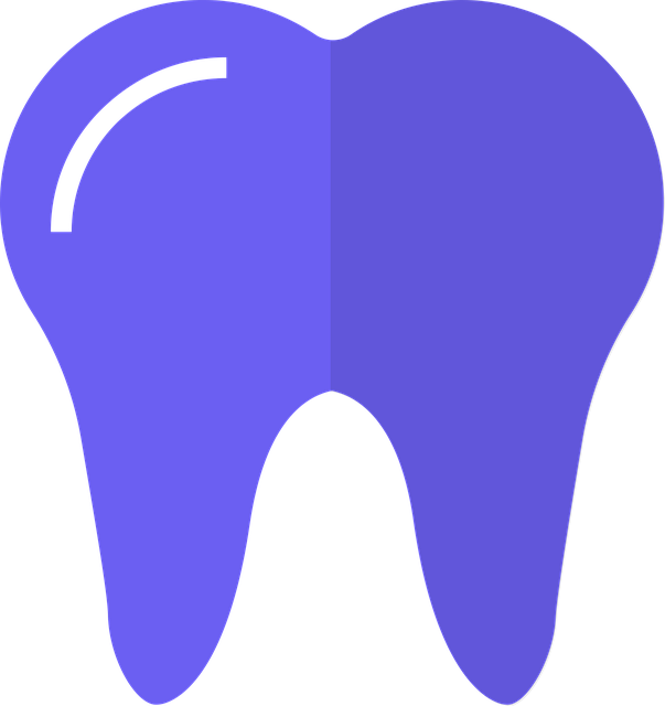 Where can I find affordable dental care in McAllen, TX