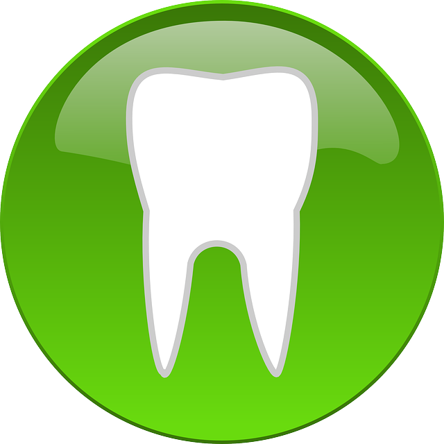 Where can I find affordable dental care in McAllen, TX