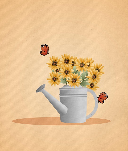 Can I get braces at a McAllen dentist office