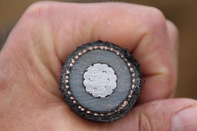 clinicas del dr cazares 2