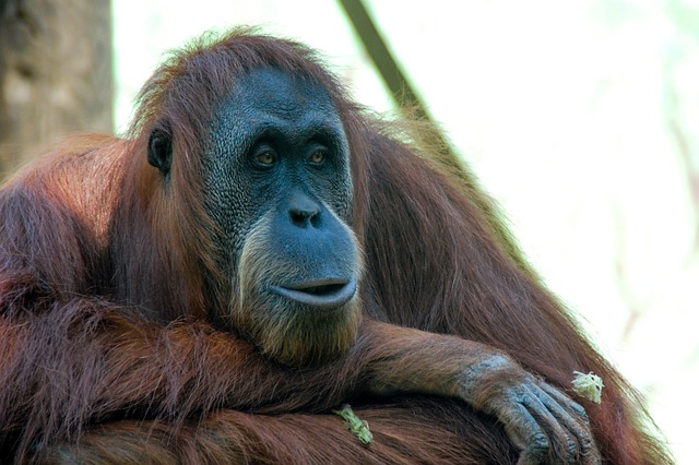 clinicas del dr cazares