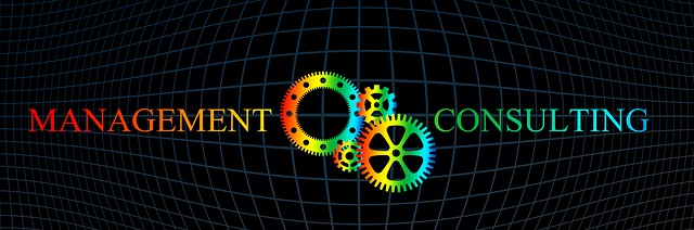 dentist it consulting mcallen tx