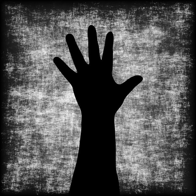 dentist it support mcallen tx