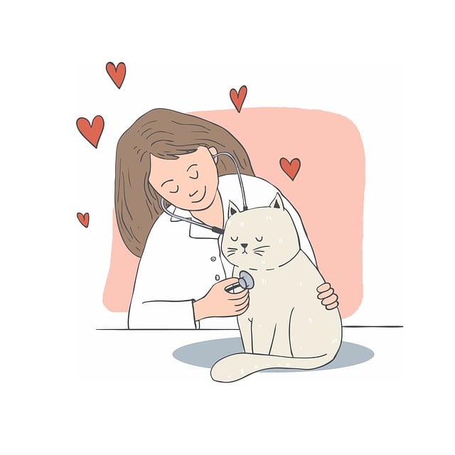 Dr Cazares McAllen: Compassionate Dental Care for Every Age