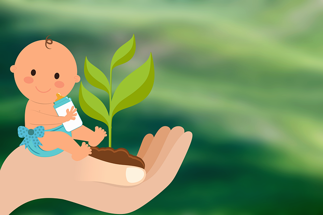 Navigating McAllen: Top Picks for Your Family’s Dental Care