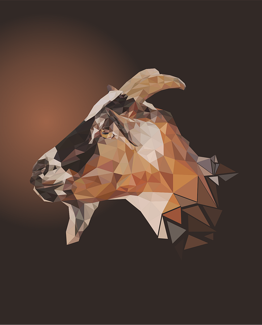 low cost dentist mcallen tx