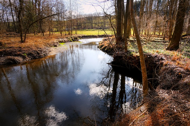 orthodontist mcallen tx