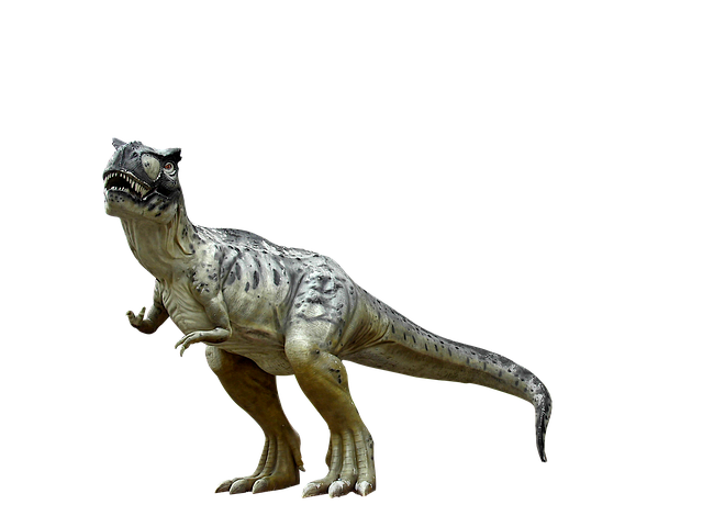 McAllen’s Calm Dental Care: Whitening & Relaxation with Dr. Cazares