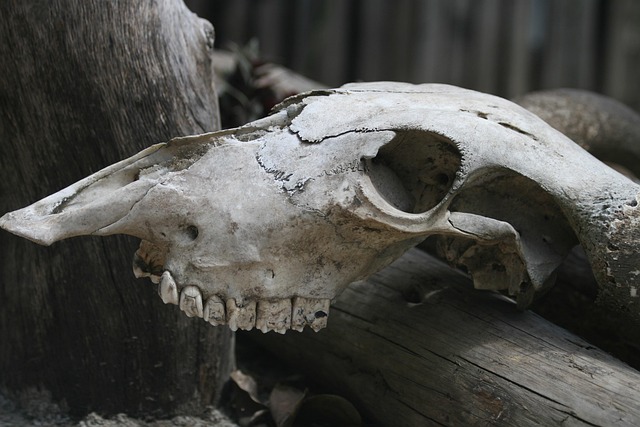 teeth whitening mcallen tx