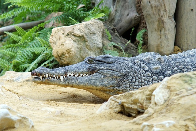 teeth whitening mcallen tx