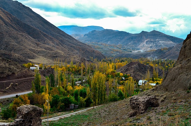 When should I replace my toothbrush in McAllen