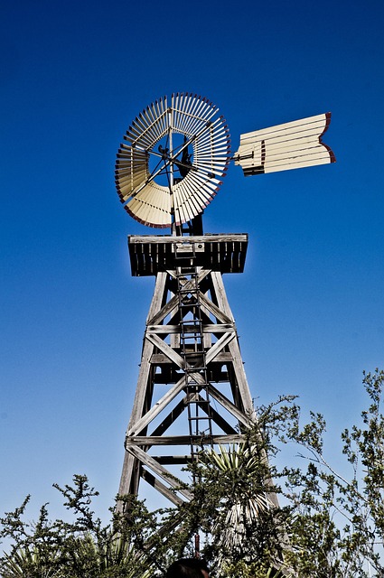 When should I replace my toothbrush in McAllen