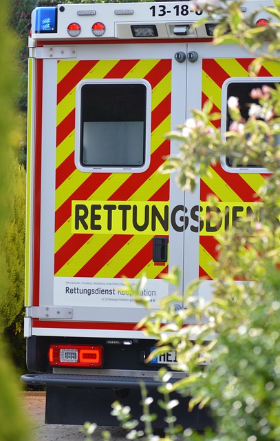 Where can I find emergency dentist services in McAllen