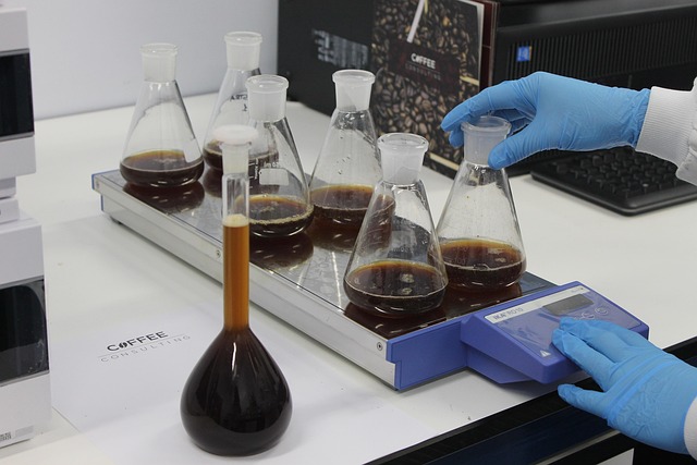 dental it consulting mcallen tx